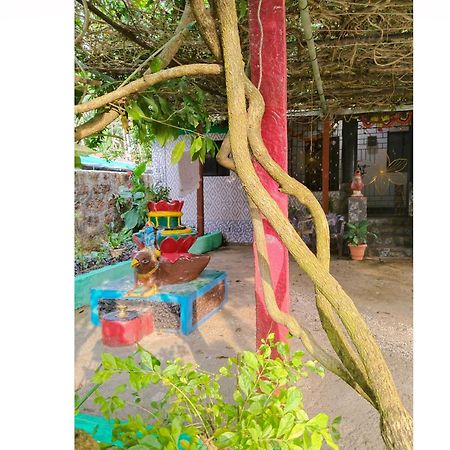 Cockerel Homestay - Traditional Beach Village - Goa Canacona Luaran gambar
