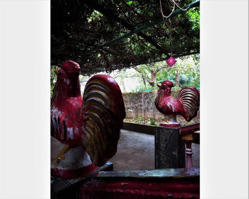 Cockerel Homestay - Traditional Beach Village - Goa Canacona Luaran gambar