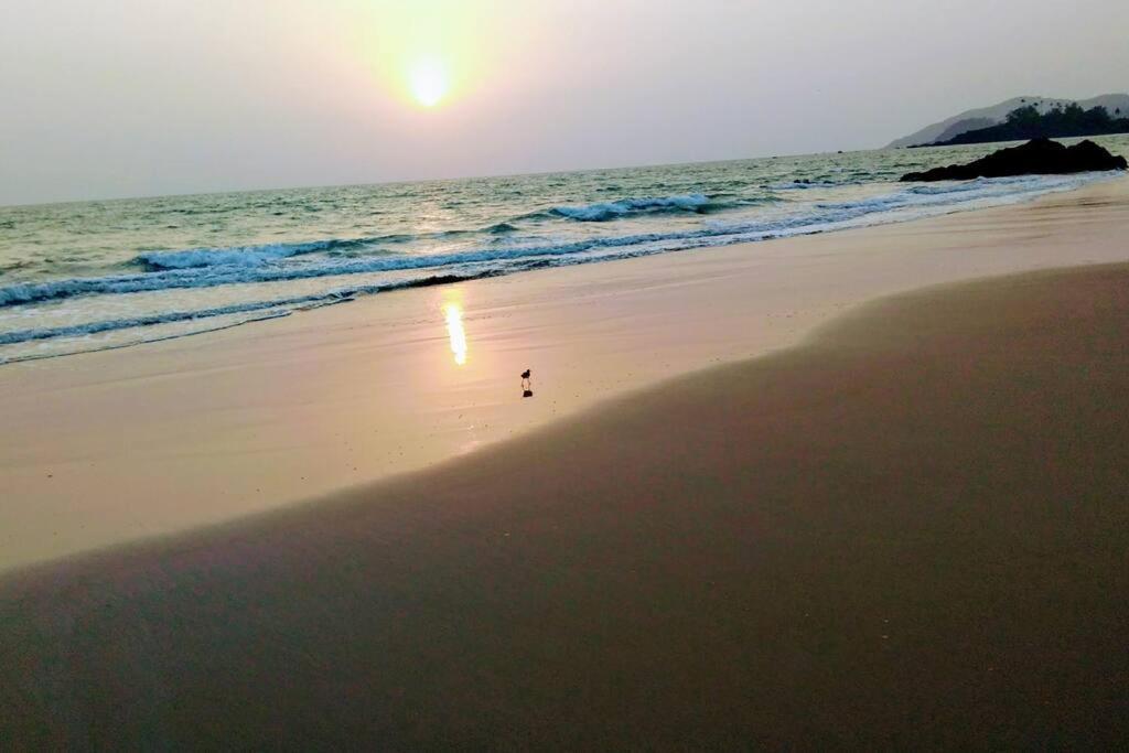 Cockerel Homestay - Traditional Beach Village - Goa Canacona Luaran gambar