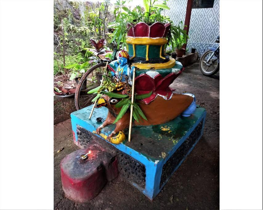Cockerel Homestay - Traditional Beach Village - Goa Canacona Luaran gambar