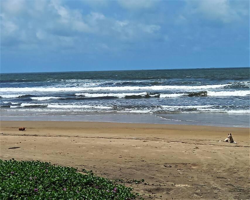 Cockerel Homestay - Traditional Beach Village - Goa Canacona Luaran gambar
